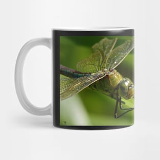 emperor dragonfly or blue emperor Mug